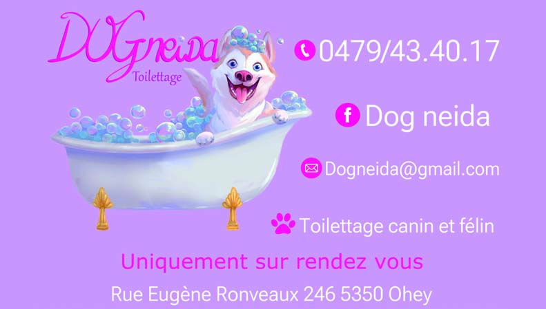 Dog Neida