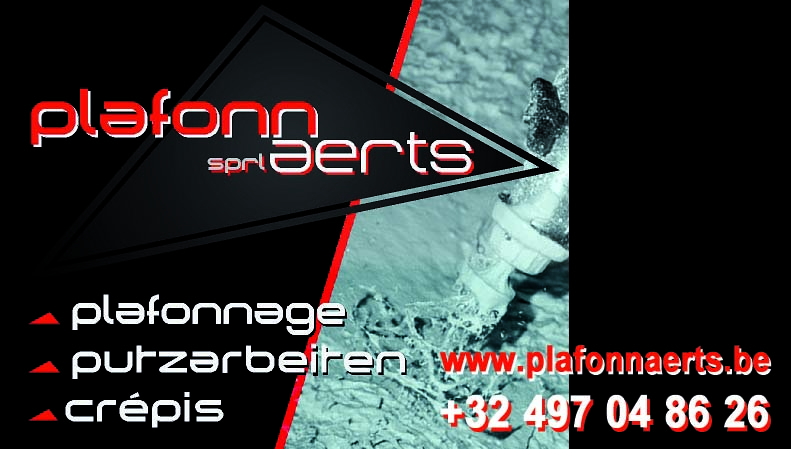 Plafonnaerts Srl