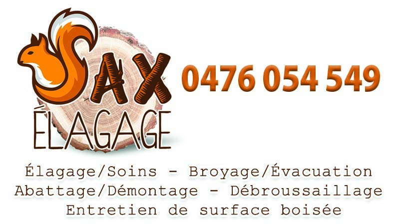 Sax 