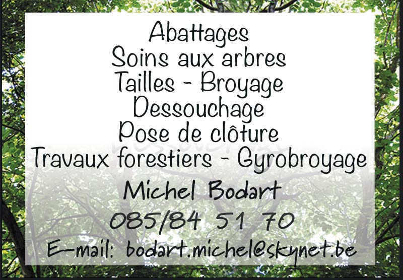 Bodart Michel