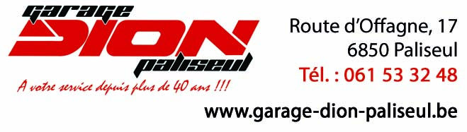 Dion SRL 