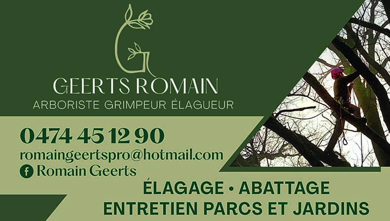 Geerts Romain