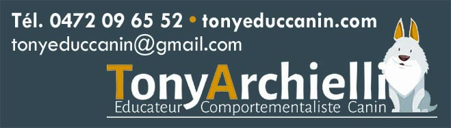 Tony Archielli 