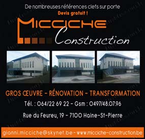 Micciche Construction