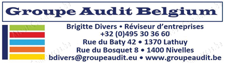 Groupe Audit Belgium