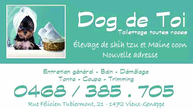 Dog de Toi