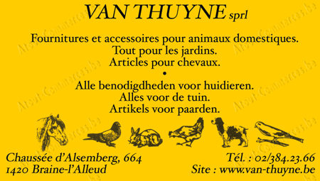 Van Thuyne Srl