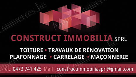 Construct Immobilia