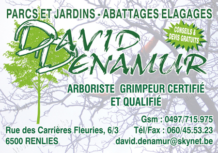 Denamur David