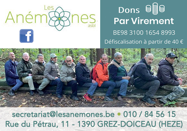 Les Anémones