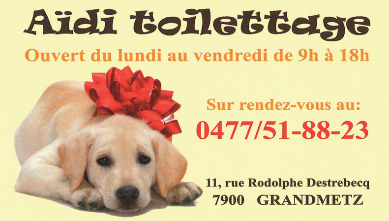 Aïdi
