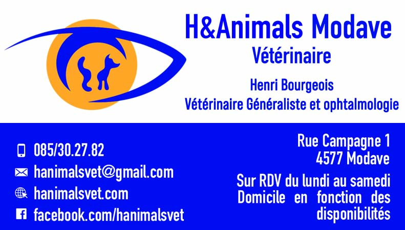 H&Animals