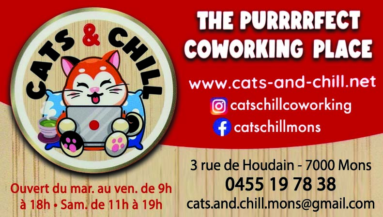 Cats & Chill