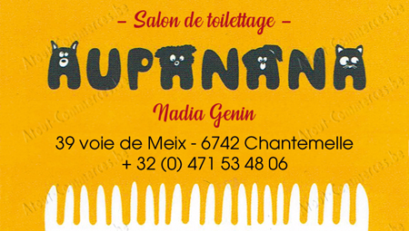 Aupanana
