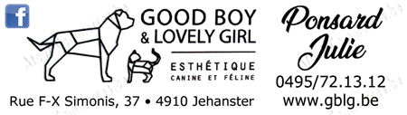 Good Boy & Lovely Girls Esthétique