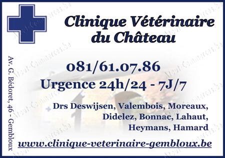 Clinique Vétérinaire du Château
