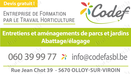 Codef