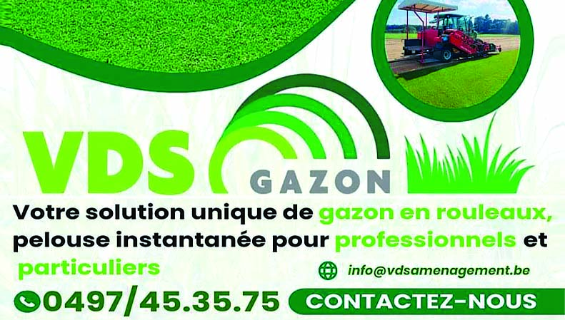VDS Gazon