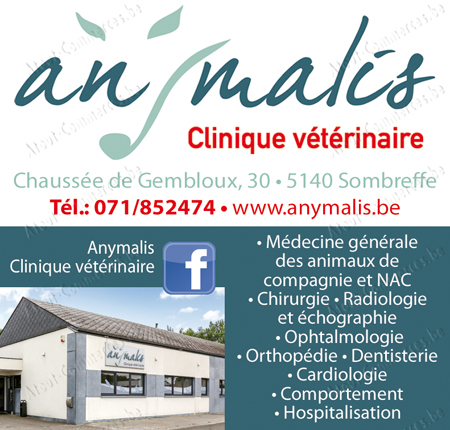 Anymalis