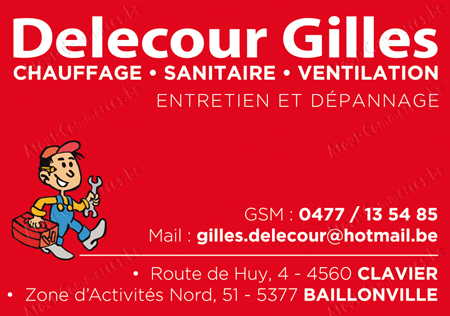 Delecour Gilles Srl