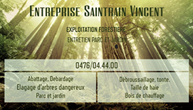 Saintrain Vincent