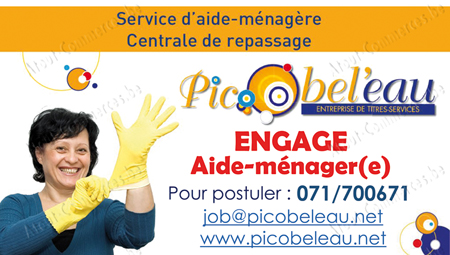 Picobel'eau Scre Fs