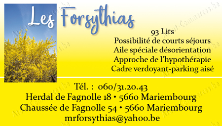 Les Forsythias
