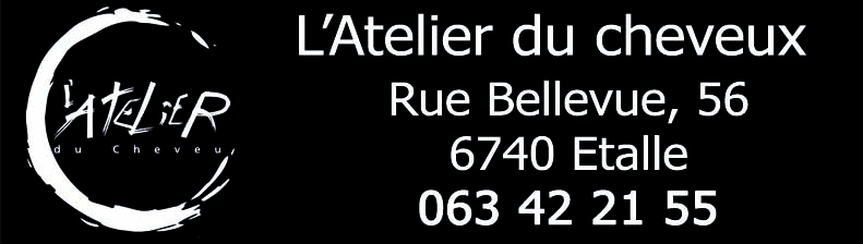Atelier du Cheveu (L')