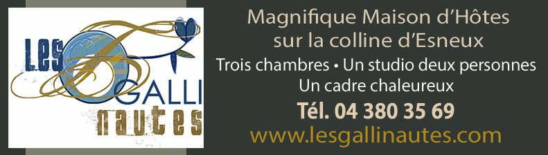 Les Gallinautes