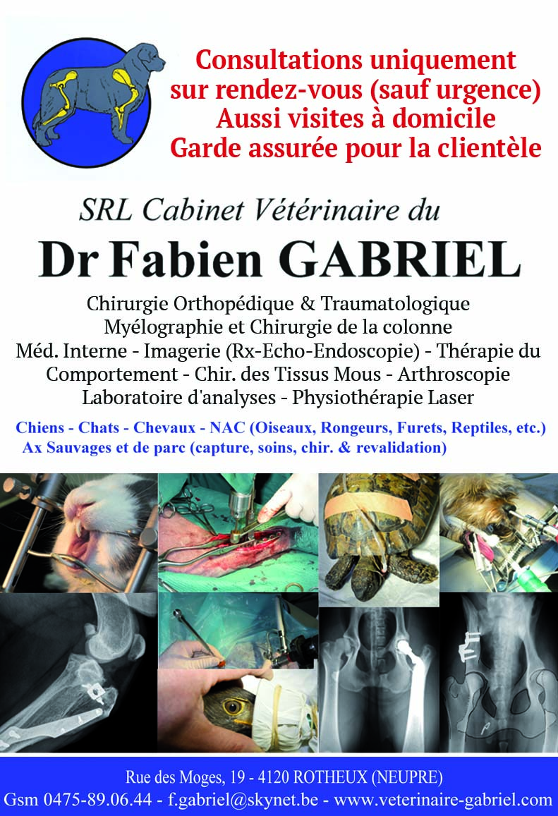 Gabriel Fabien