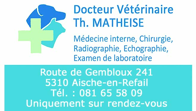 Matheise Thierry