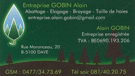 Gobin Alain