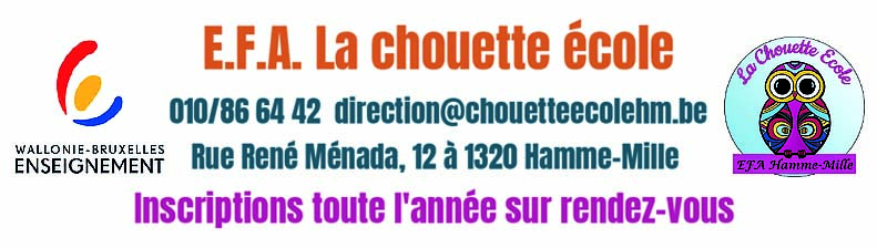 Ecole Fondamentale Hamme-Mille