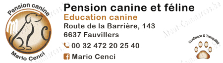 Pension Canine Mario Cenci