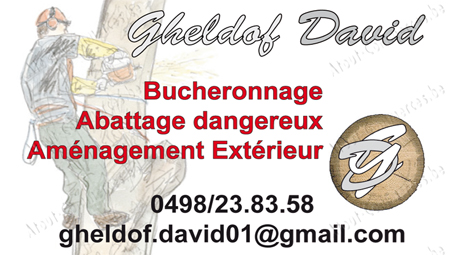 Gheldof David