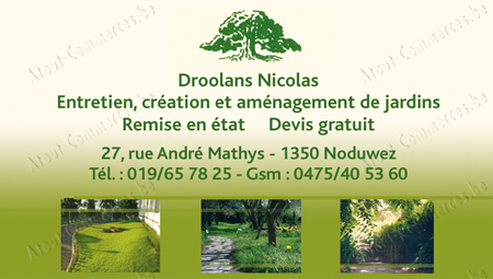 Droolans Nicolas