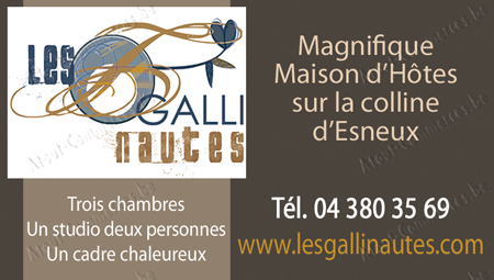 Les Gallinautes