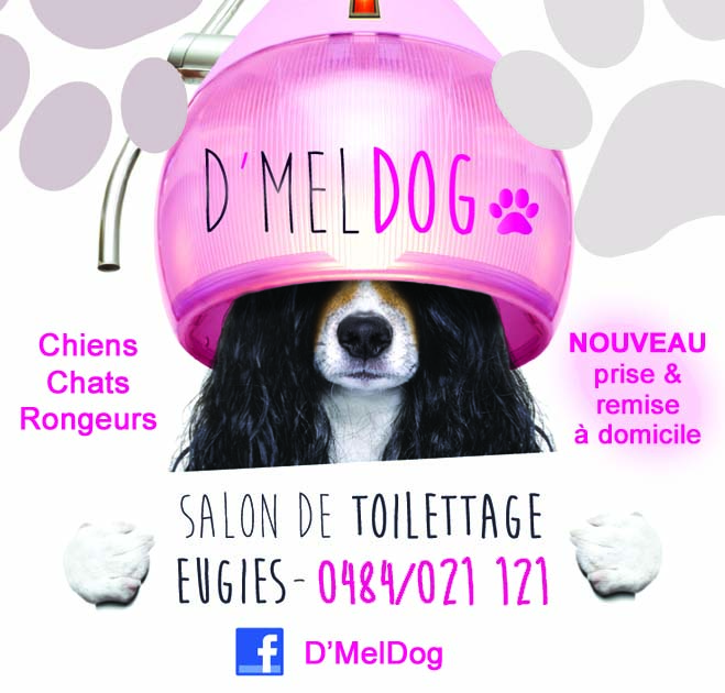 D'Meldog