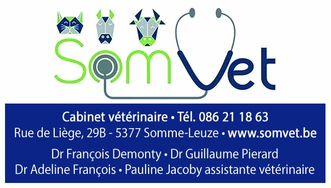 Somvet 