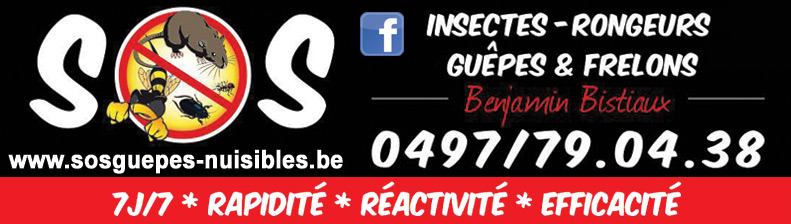 SOS Guêpes & Nuisibles