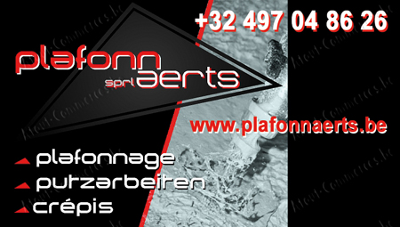 Plafonnaerts Sprl