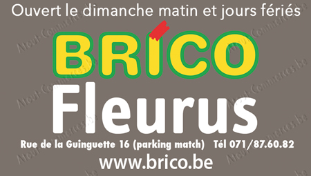 Brico Fleurus