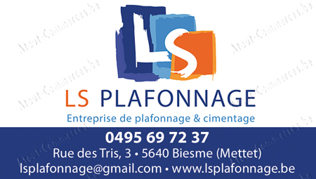 LS Plafonnage