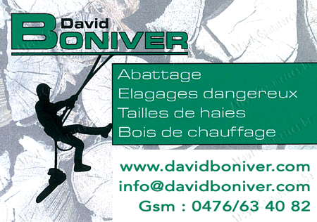 Boniver David Sprl