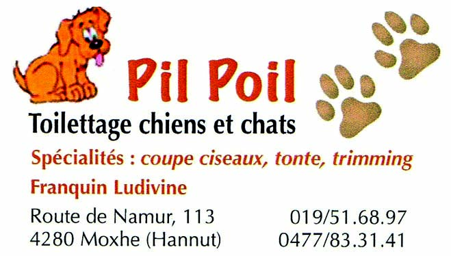 Pil Poil