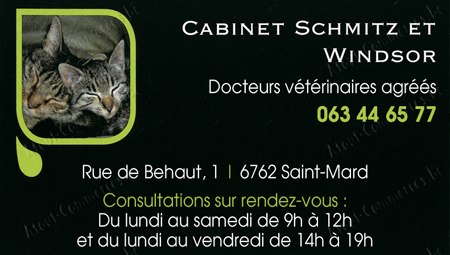Schmitz - Windsor
