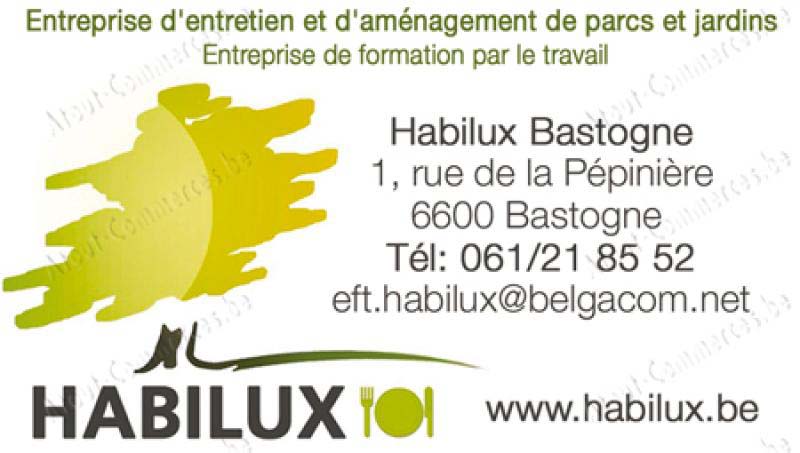 AID Habilux