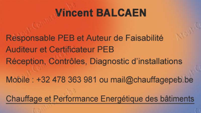 Balcaen Vincent