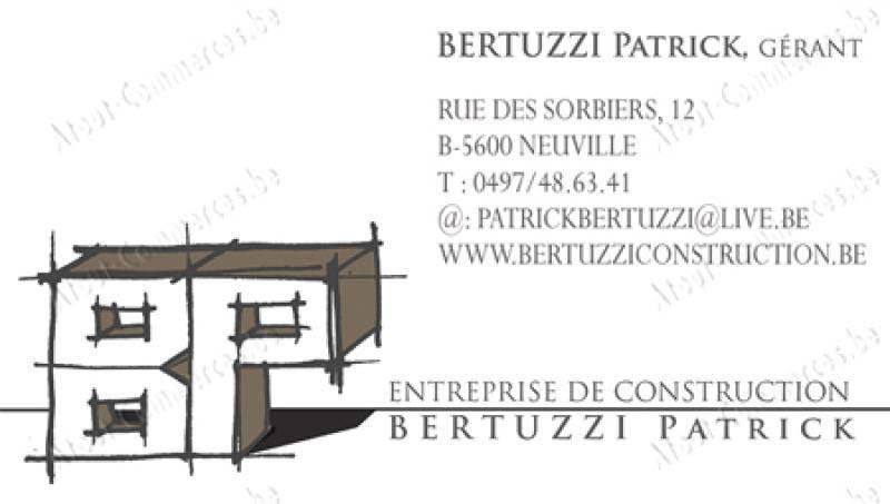 Bertuzzi Construction
