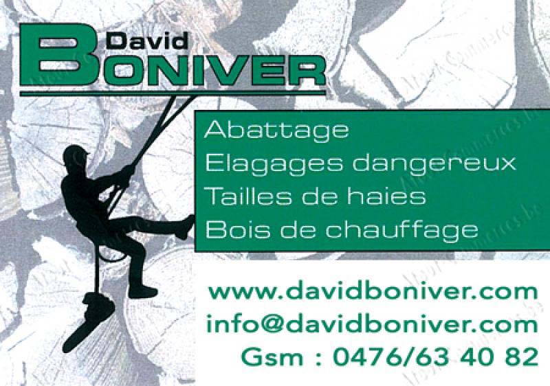 Boniver David Sprl